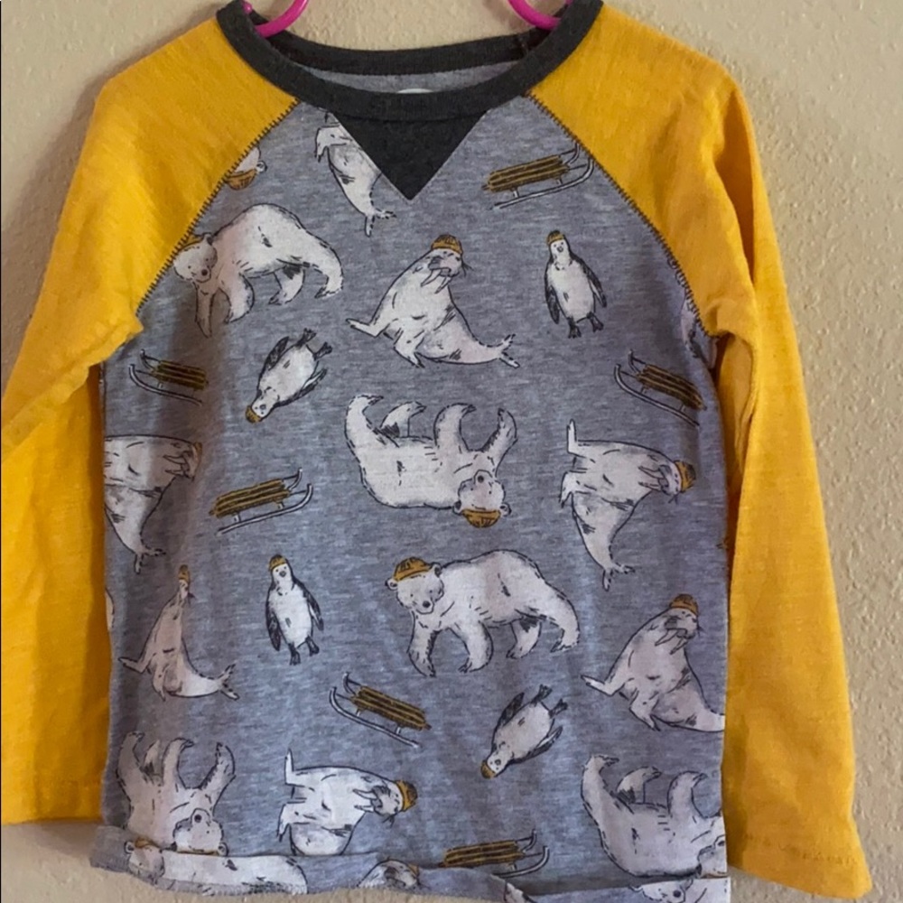 Polar bear shirt